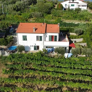 In Vino Veritas Italia